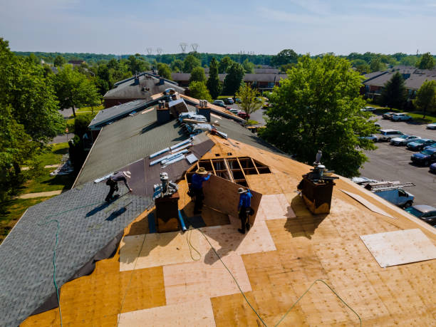 Best Commercial Roofing Services  in Ferndale, MI