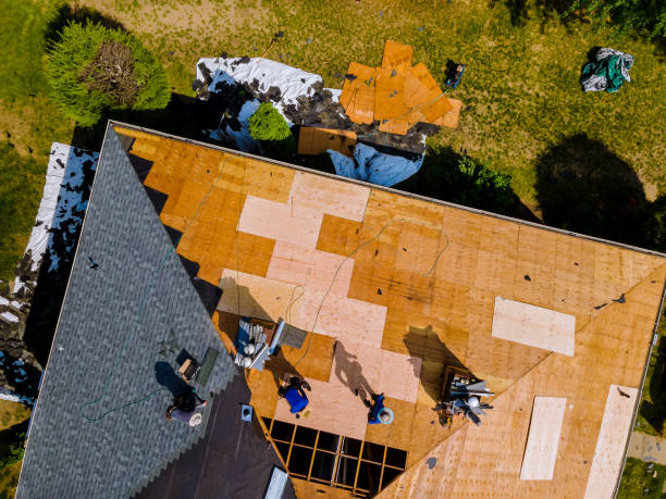 Best Metal Roofing Contractor  in Ferndale, MI