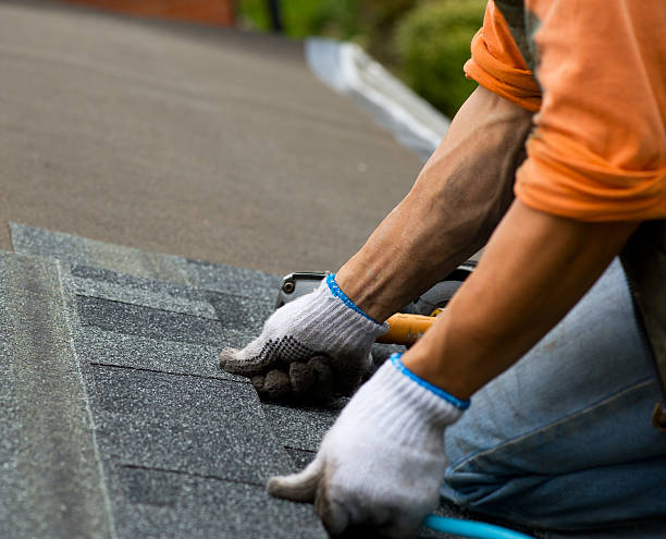 Best Roof Gutter Cleaning  in Ferndale, MI