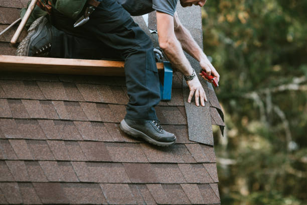 Best Roof Repair Services  in Ferndale, MI